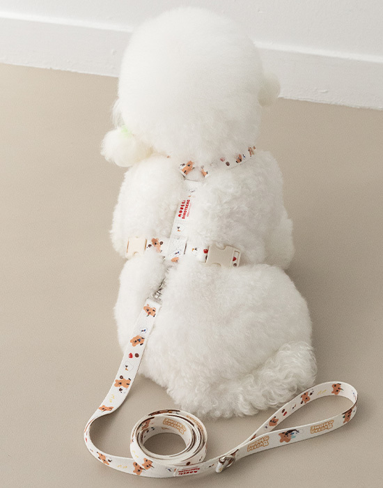 Noutti DINOTAENG H型胸背帶