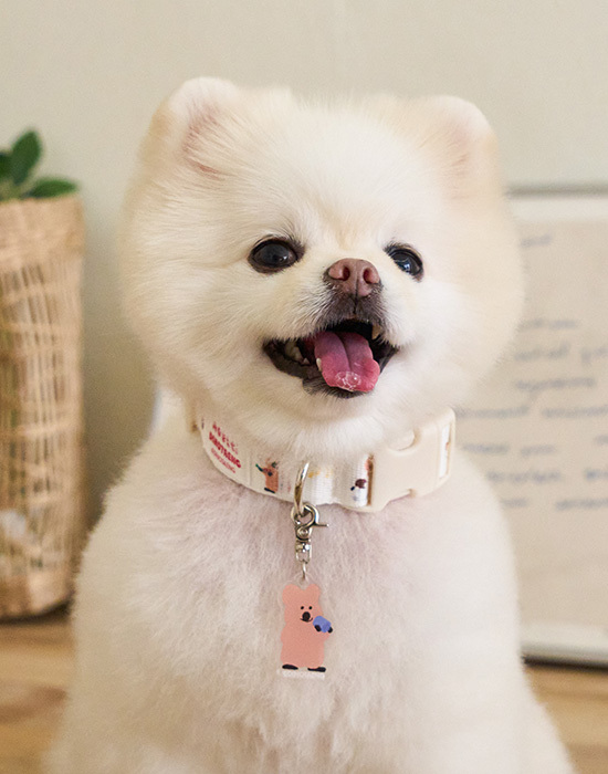 Noutti DINOTAENG 項圈