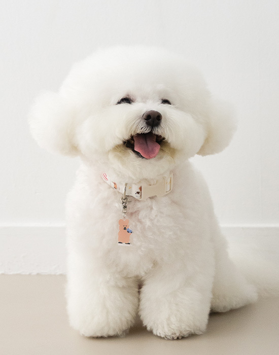 Noutti DINOTAENG 項圈