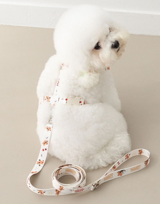 Noutti DINOTAENG 牽繩_1.8m