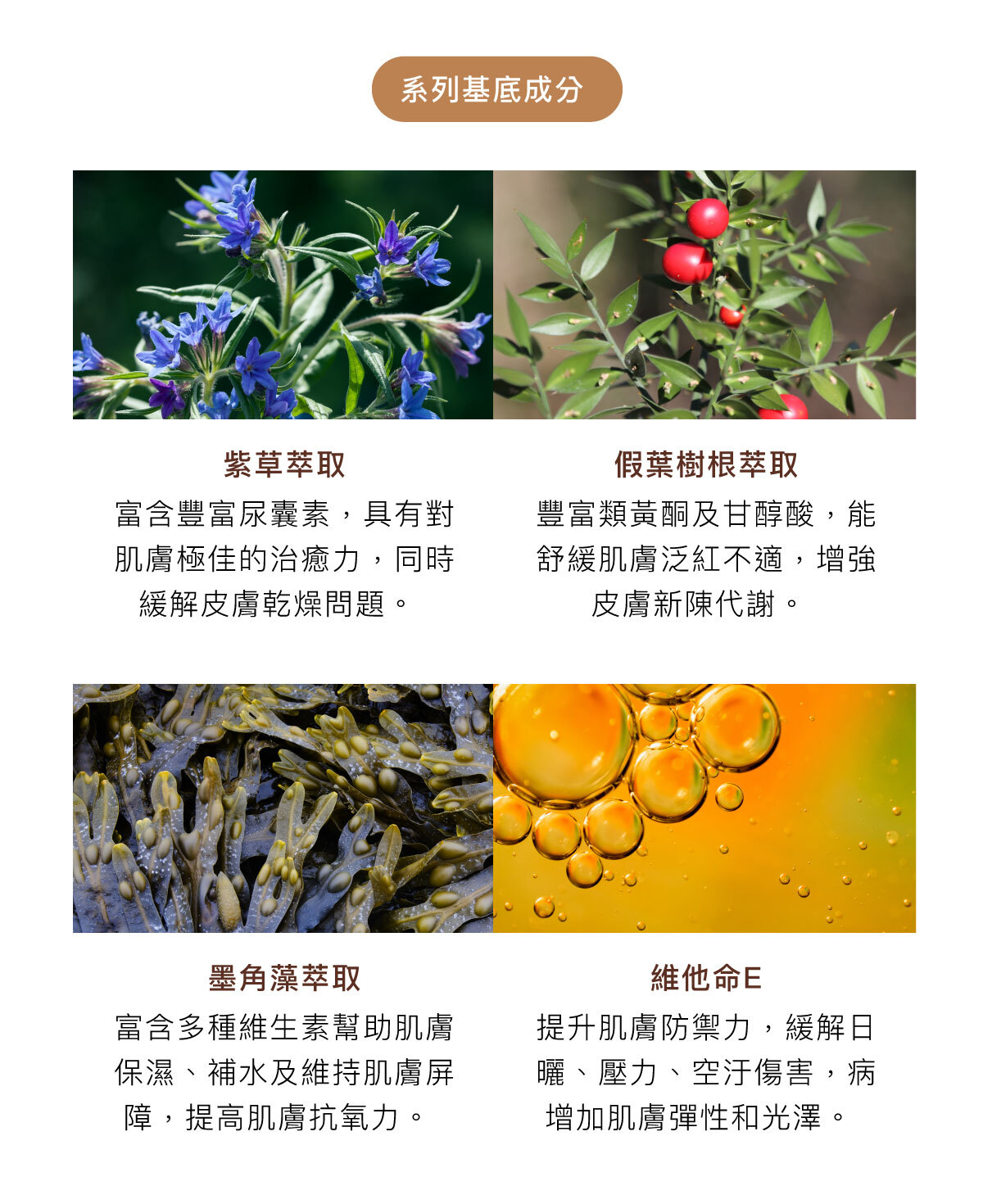 系列基底成分 紫草萃取:富含豐富尿囊素,具有對肌膚極佳的治癒力,同時緩解皮膚乾燥問題。 假葉樹根萃取:豐富類黃酮及甘醇酸,能舒緩肌膚泛紅不適,增強皮膚新陳代謝。 墨角藻萃取:富含多種維生素幫助肌膚保濕、補水及維持肌膚屏障,提高肌膚抗氧力。 維他命E:提升肌膚防禦力,緩解日曬、壓力、空汙傷害,病增加肌膚彈性和光澤。