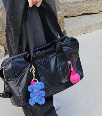 【代購】FENNEC PHOTOCARD STORAGE BAG 托特包 卡片電腦包 ipad包 平板包 斜背包 卡夾 尼龍包 通勤包