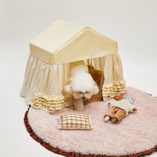 Louisdog 奶油陽光小屋