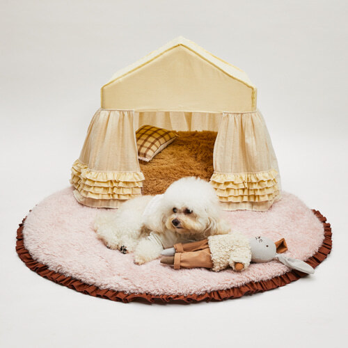 Louisdog 奶油陽光小屋