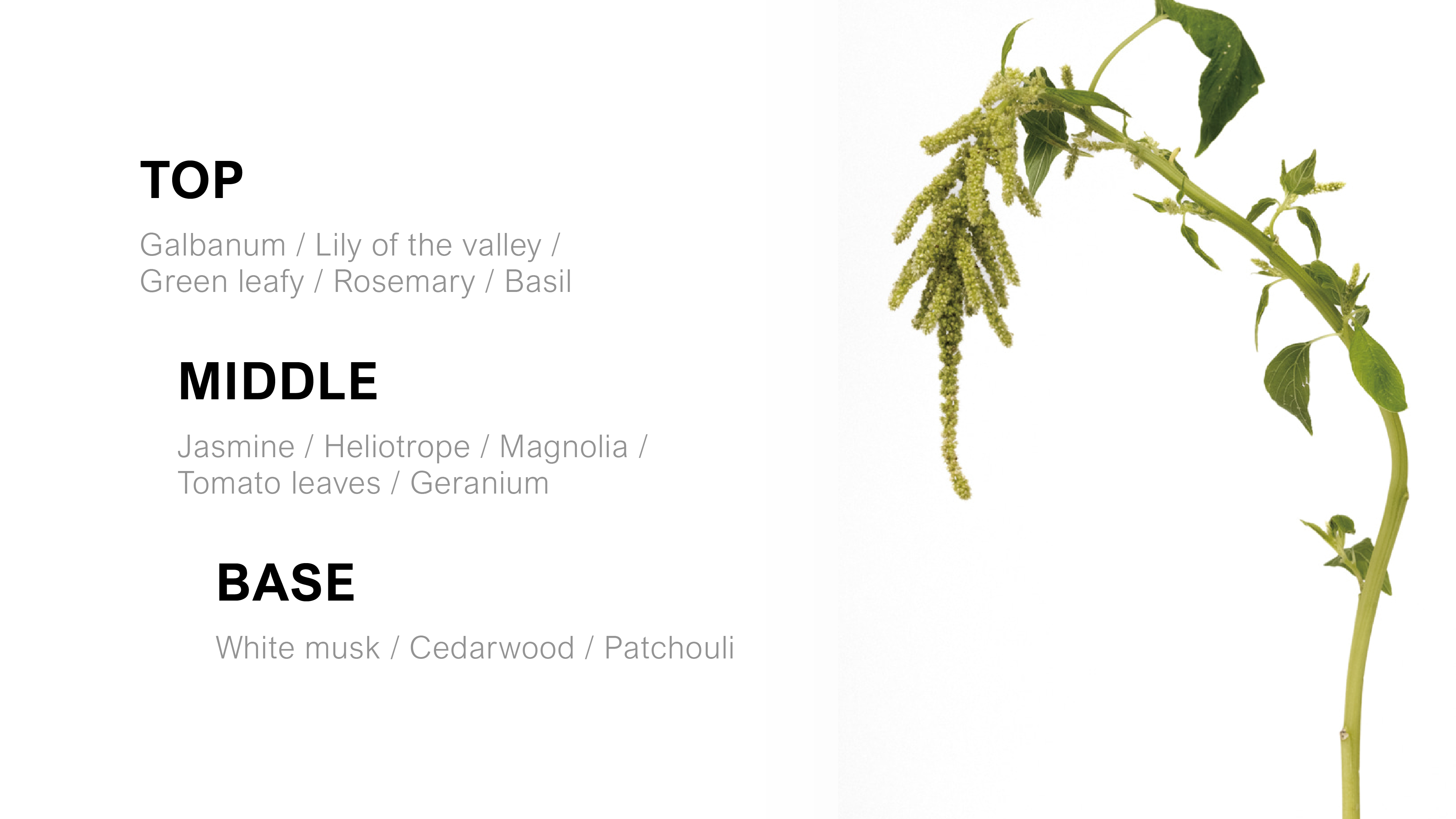 WHEN I WASH UP HAND CREAM