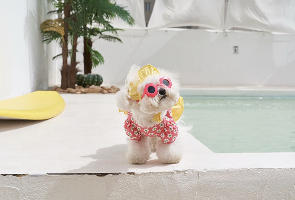 荷葉邊花朵泳衣