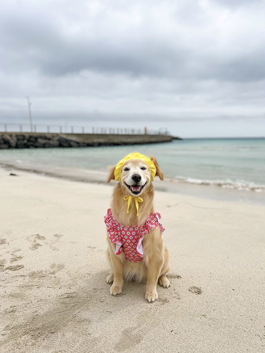 荷葉邊花朵泳衣