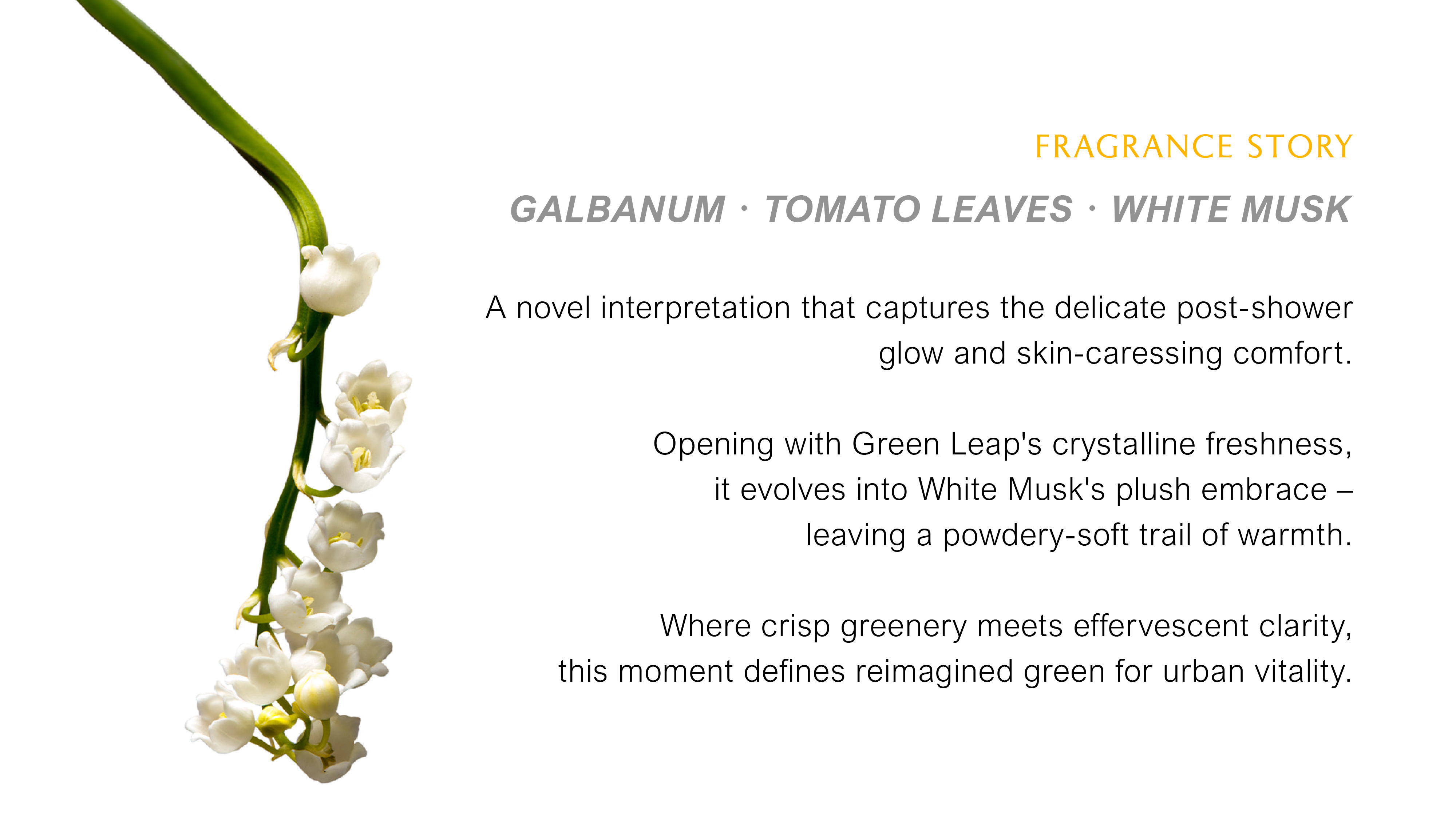 WHEN I WASH UP HAND WASH