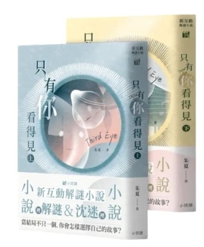 只有你看的見 上下集同捆 新互動解謎小說 繁體中文版
