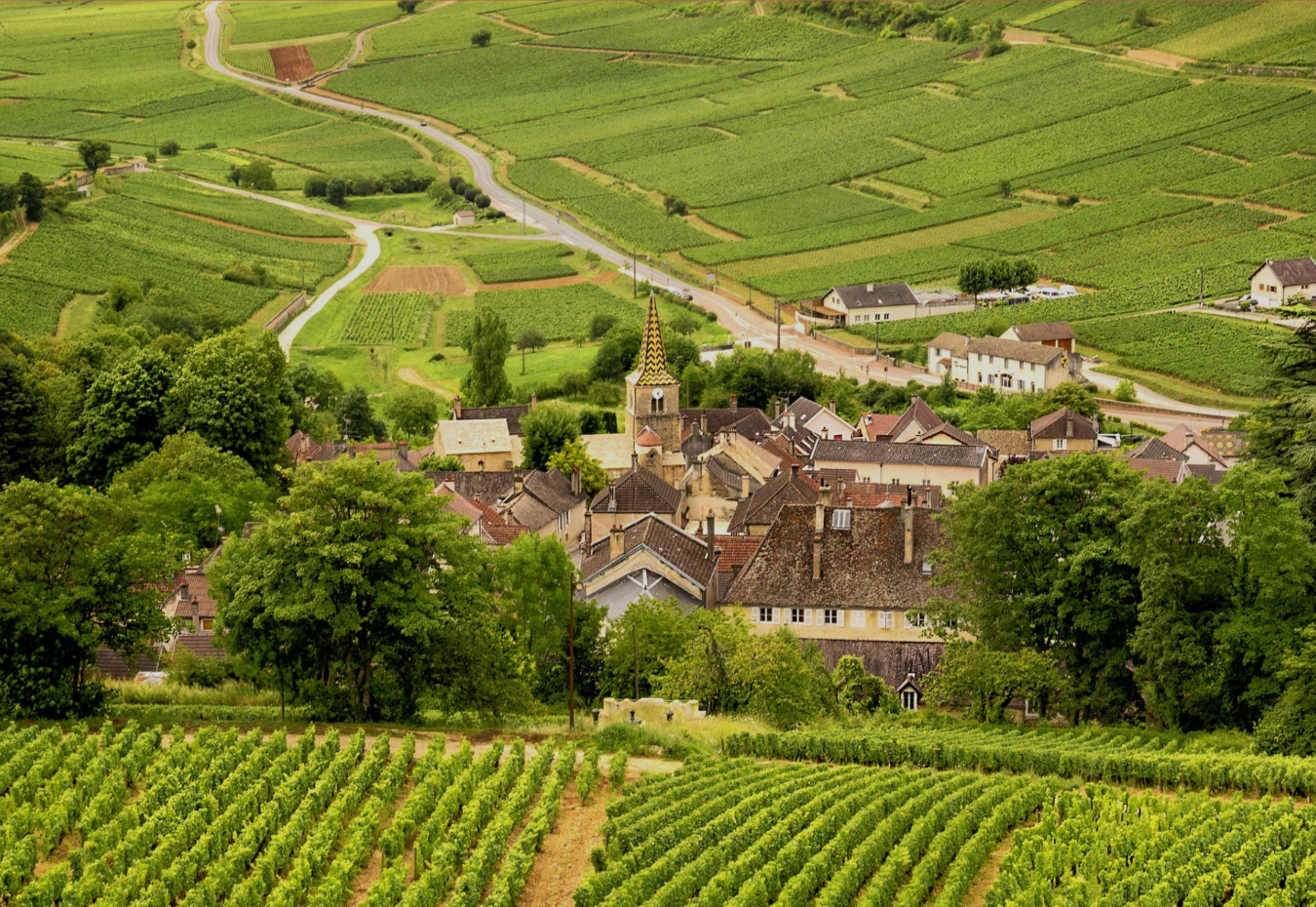 Domaine Etienne Delarche