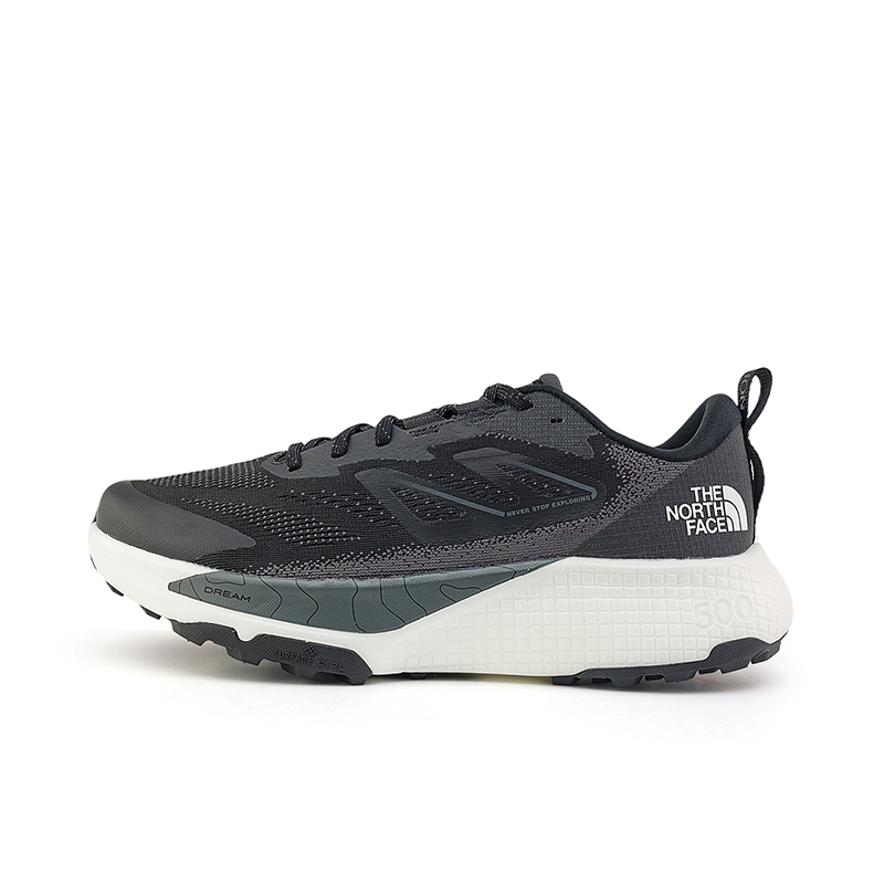 The North Face - 男裝 ALTAMESA 500 鞋 NF0A83N3