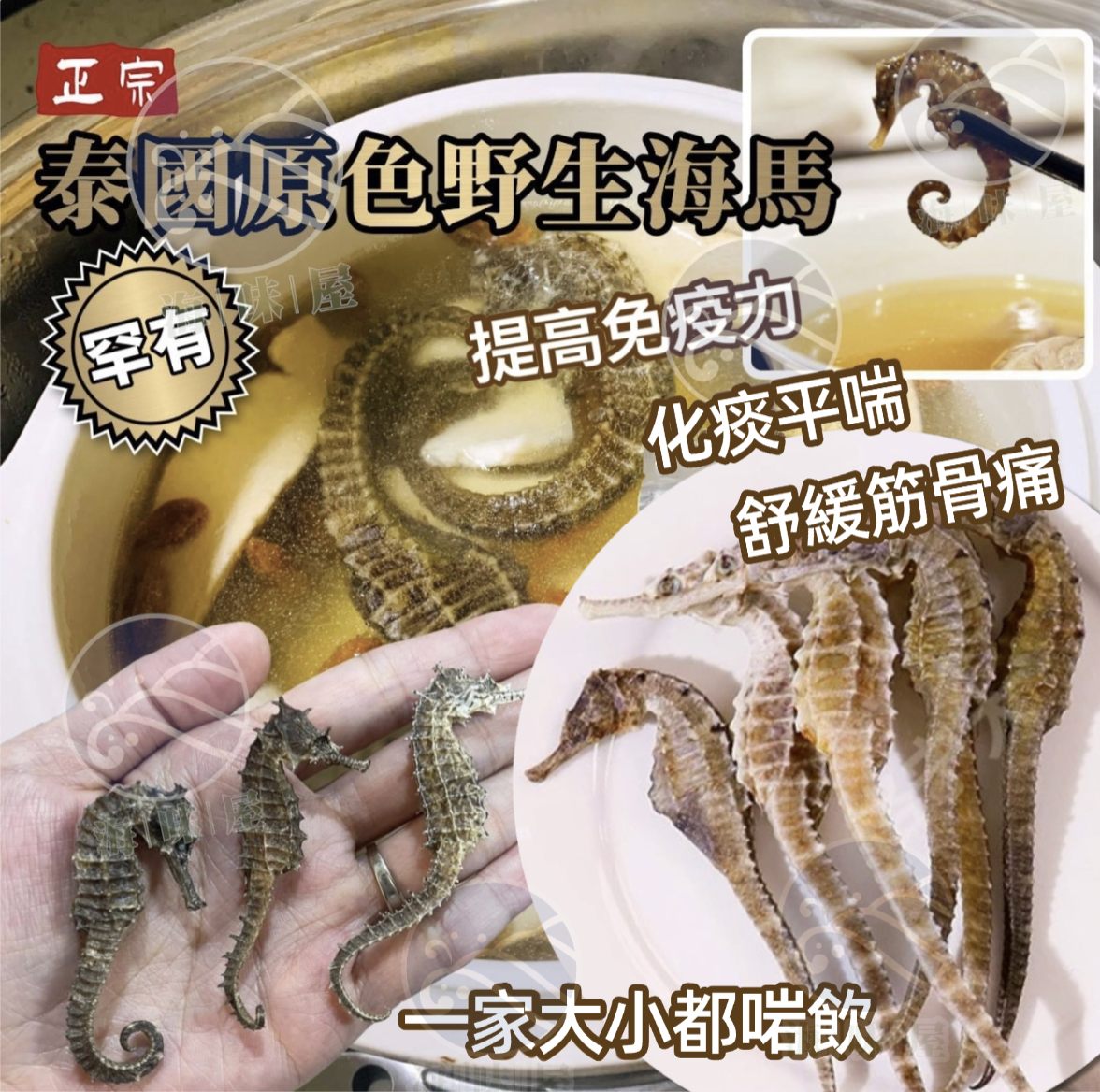 H20065 正宗泰國野生海馬 (1包5隻）
