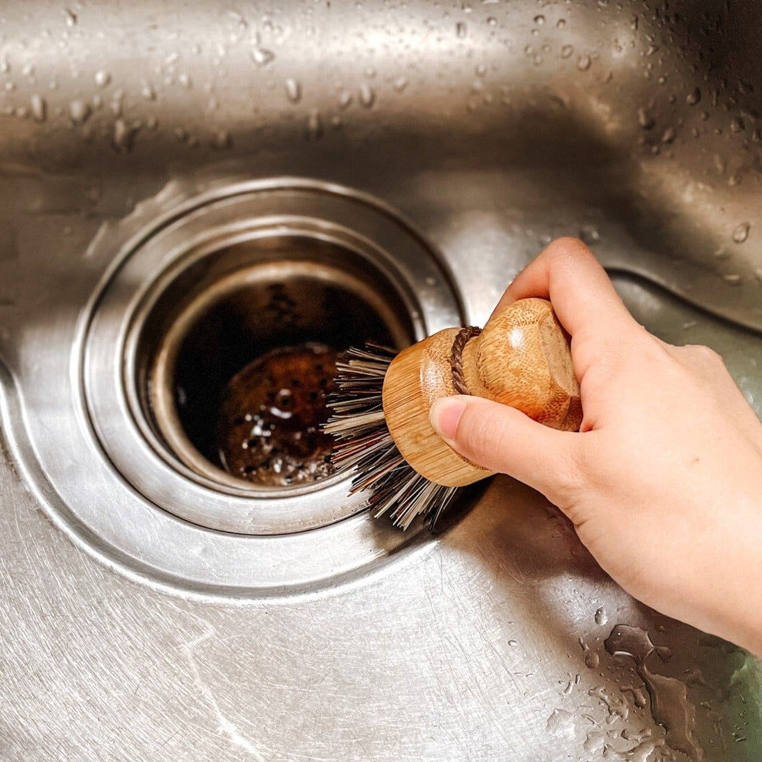 【綠印生活】棕櫚清潔刷｜水槽刷 頑強污垢 (硬毛)