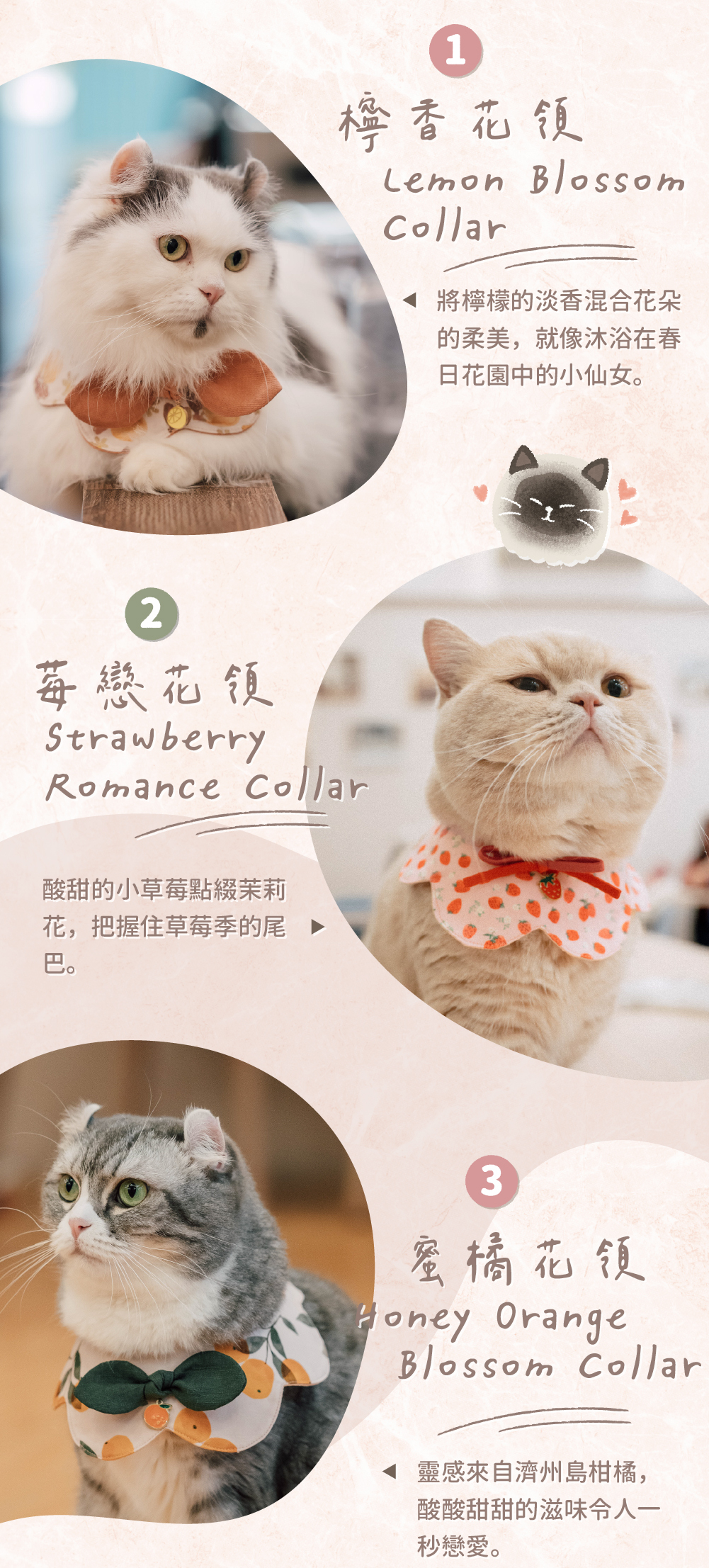 貪貪領巾新春款