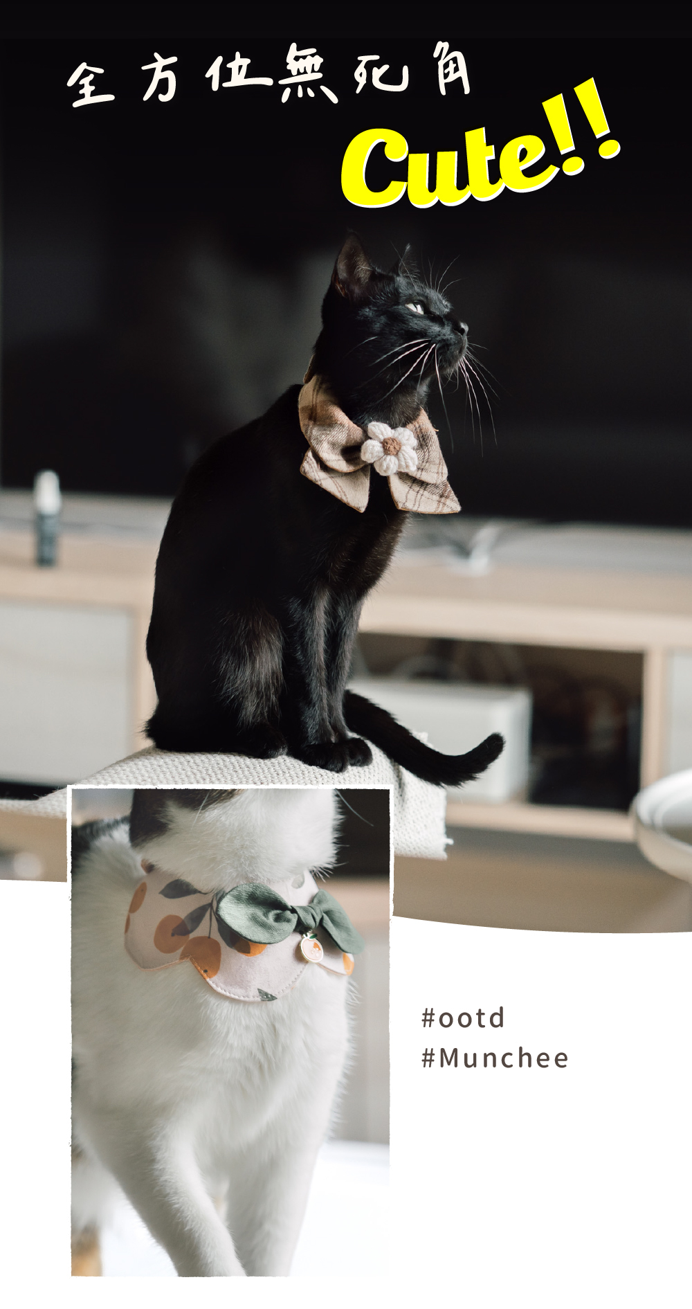 貪貪領巾新春款說明