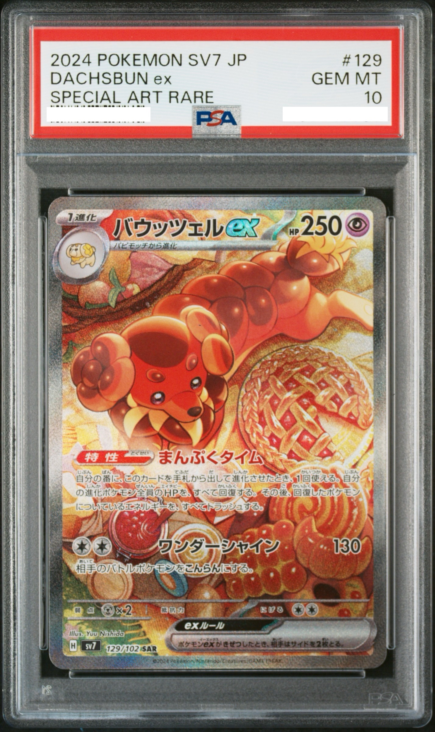 2024 POKEMON JAPANESE SV7-STELLAR MIRACLE #129 DACHSBUN EX SPECIAL ART RARE【PSA10】麻花犬