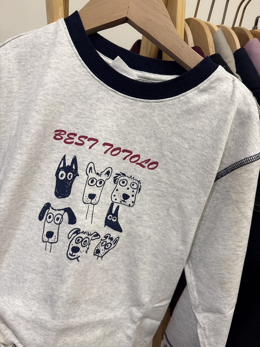 55065設計師家狗狗大集合A41