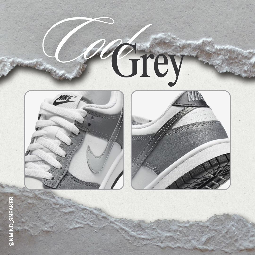 <快速出貨> Nike Dunk Low GS "Cool Grey" 極致銀灰