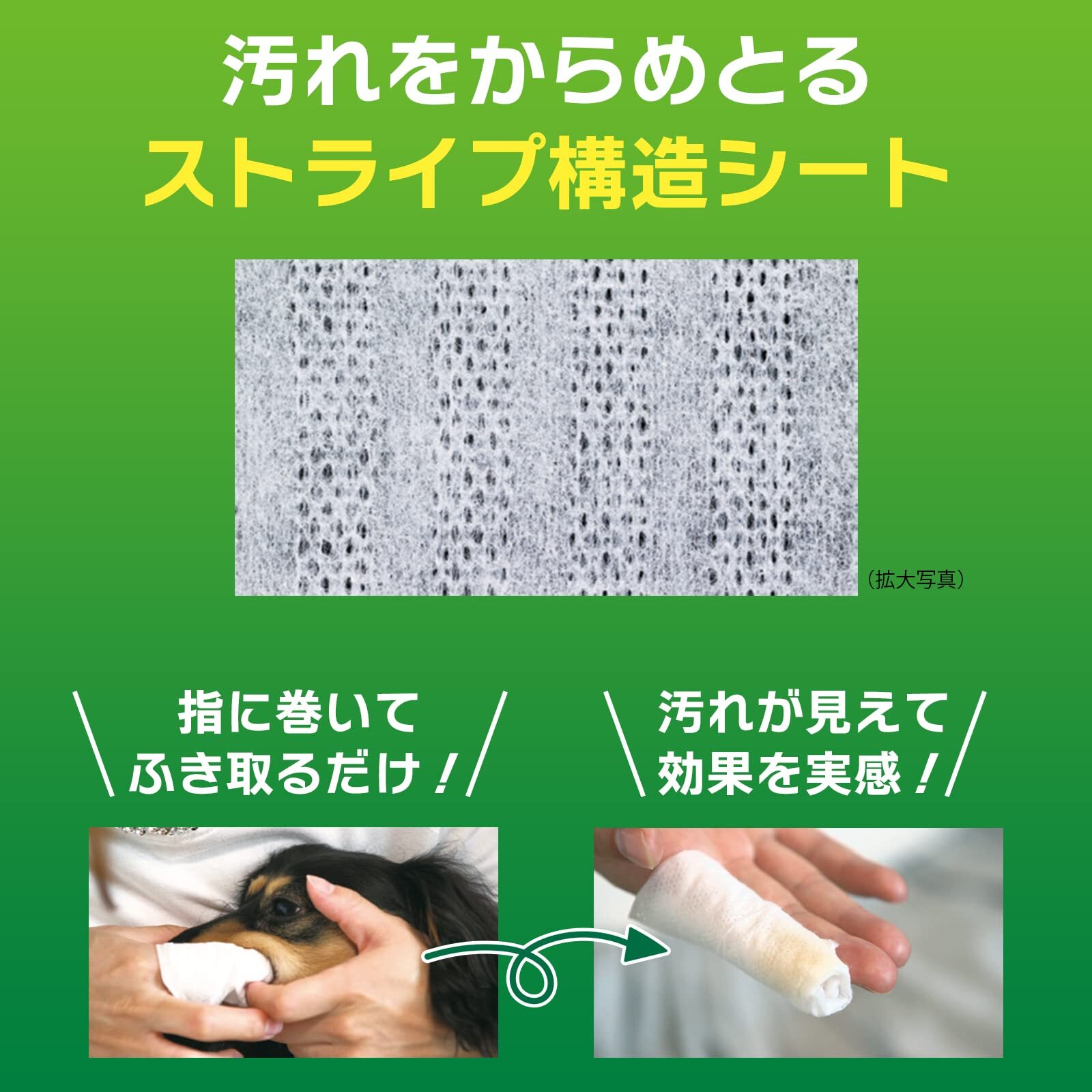 日本 LION 獅王貓狗潔齒布 (蘋果清香味)