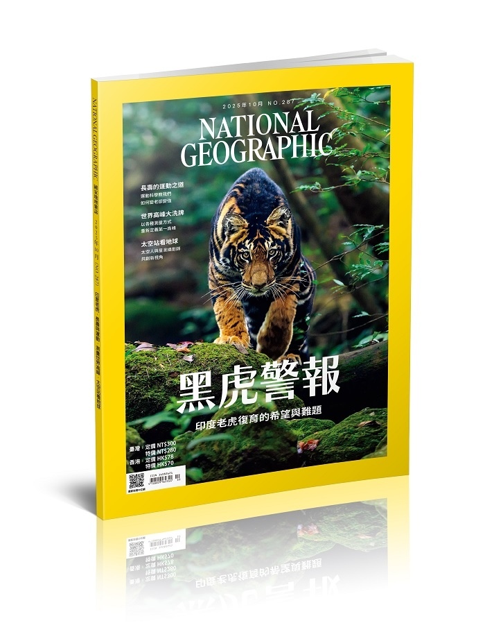國家地理雜誌_雜誌287期2025年10月號-黑虎警報 印度老虎復育的希望與難題