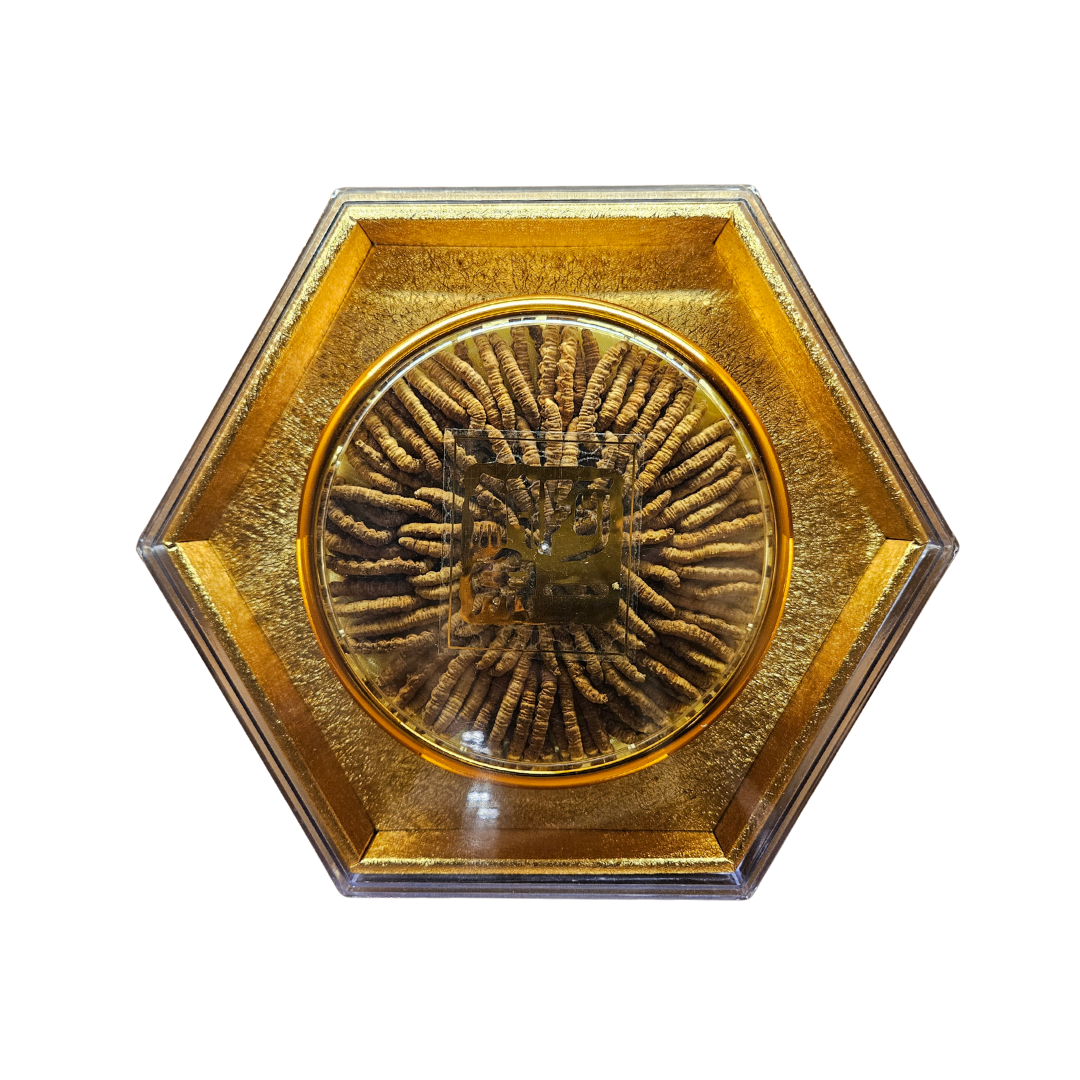 阿一精選冬蟲夏草 120-140條両 (一両裝)