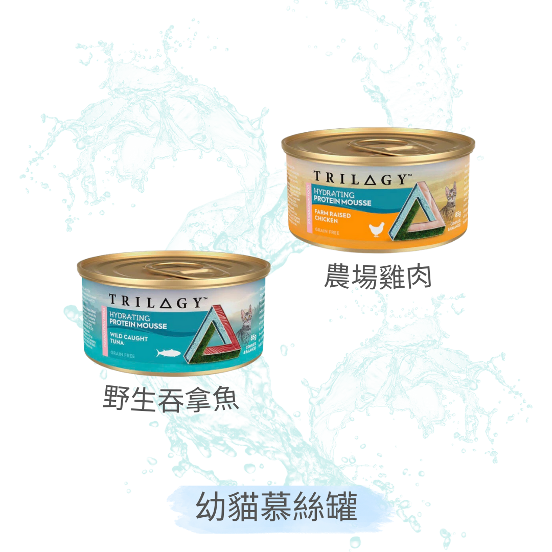 Trilogy奇境 幼貓補水慕斯貓罐