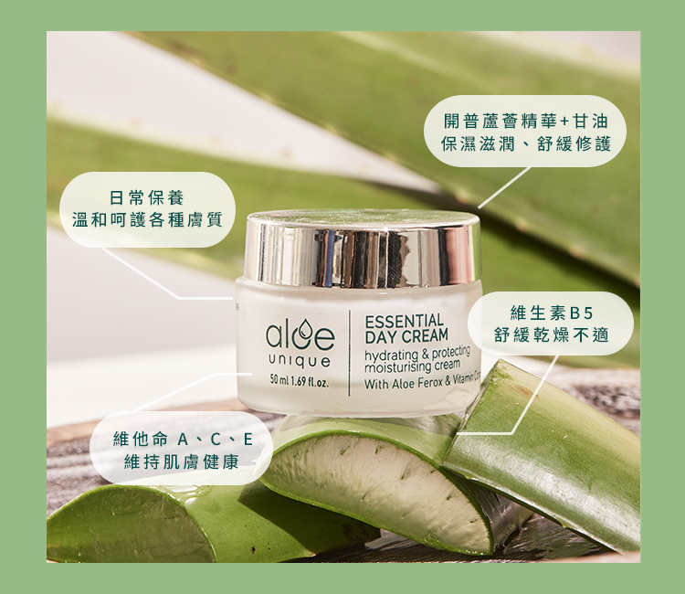 開普蘆薈精華日霜