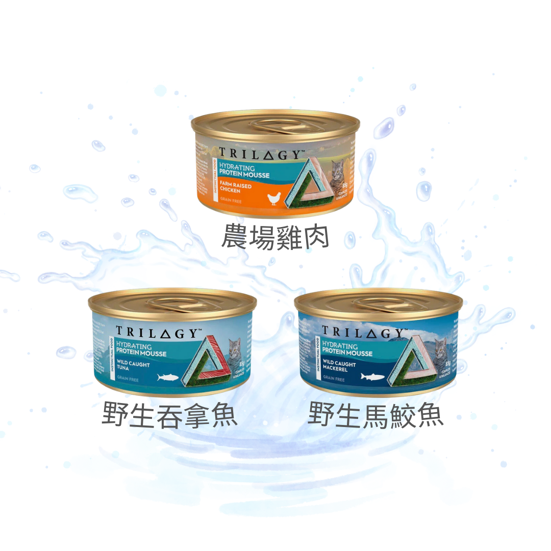 Trilogy奇境 補水慕斯貓罐