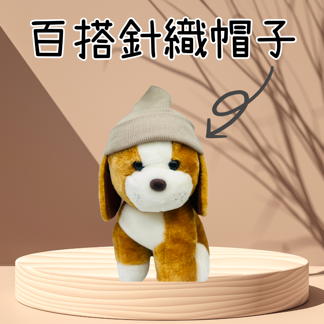 板橋院｜超狂雙11 勁爆低價11元-百搭針織帽(顏色隨機出貨)