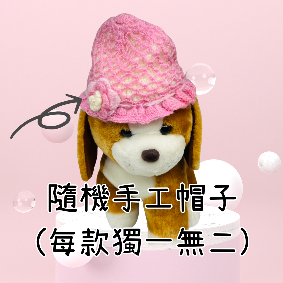 板橋院｜超狂雙11 勁爆低價11元-手工帽子(每款獨一無二隨機出貨)