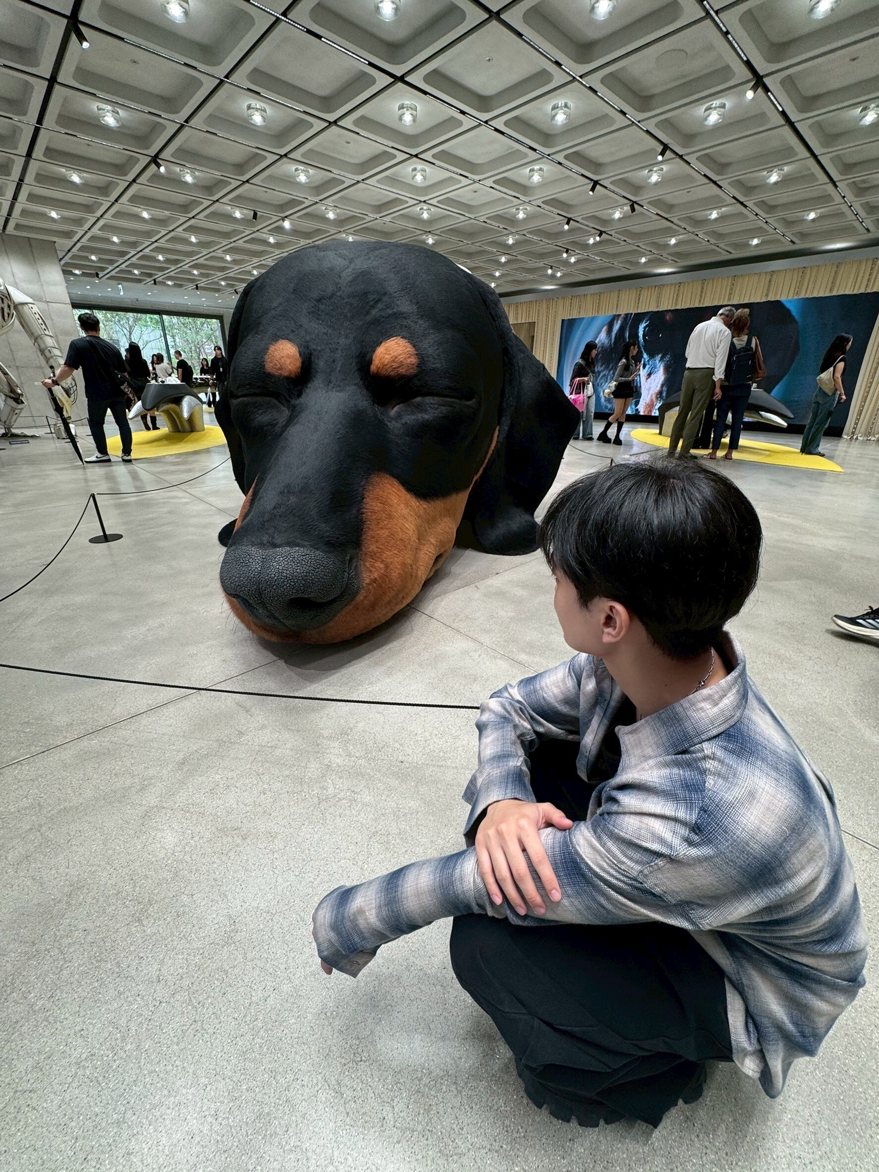 短版格紋長袖棉襯衫