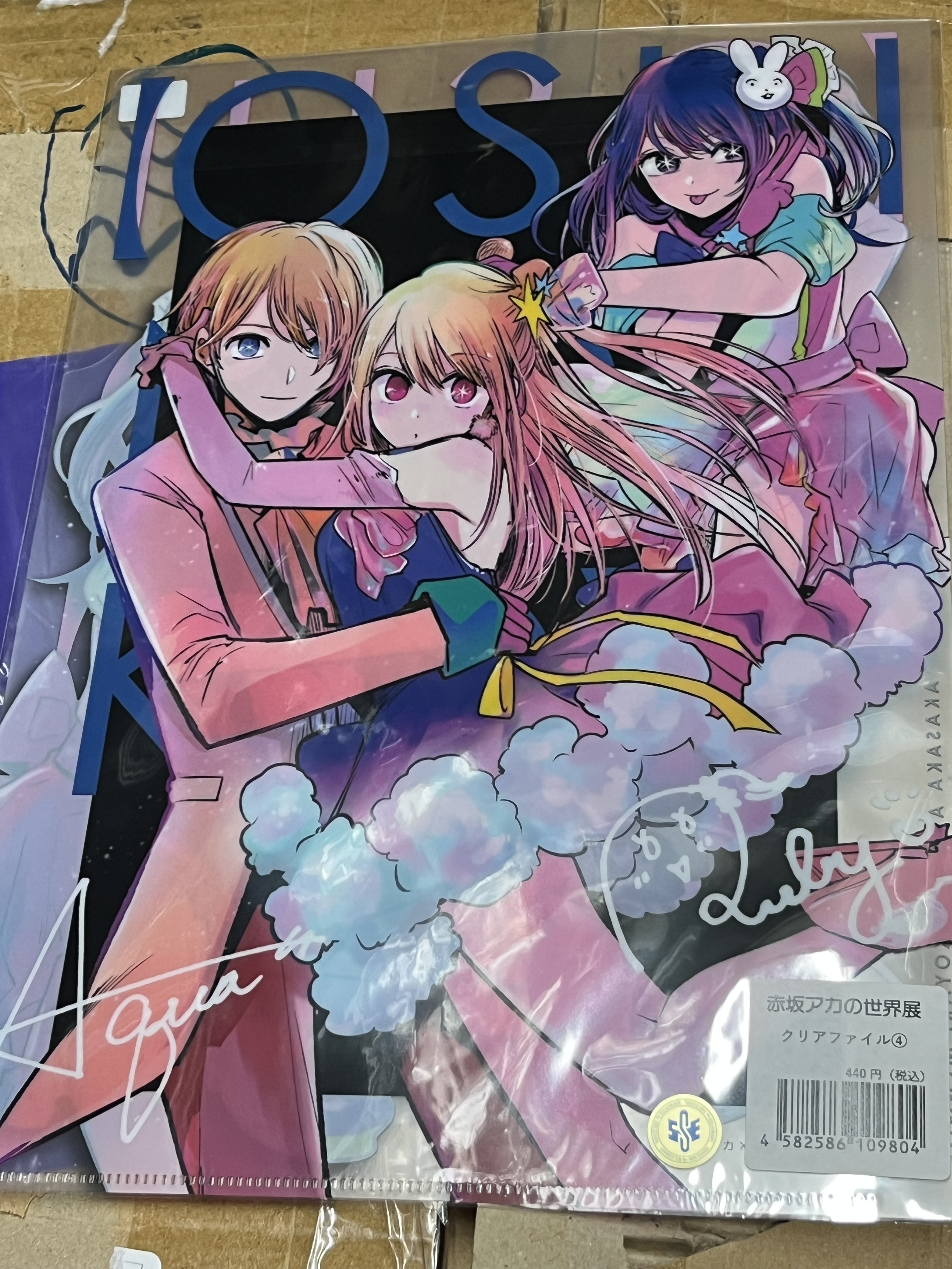 我推的孩子  FILE#317