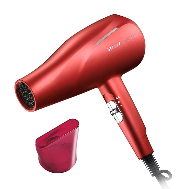 TASHIN 達新牌 沙龍級銀離子抗菌 負離子吹風機(TS-2969)