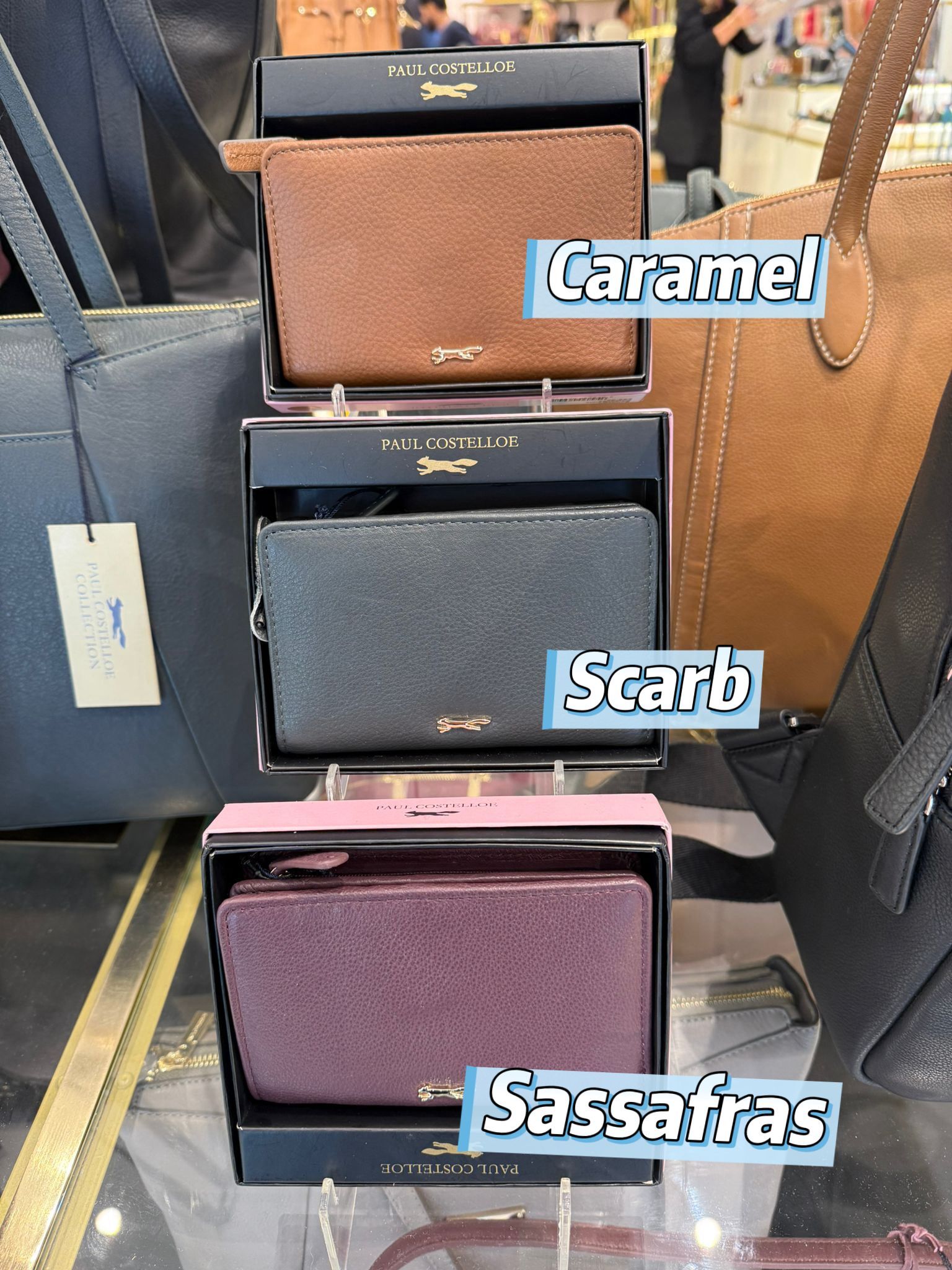 英國代購 (獨立訂單)-paulcostelloe SOLIDAGO slim wallet PCW3753