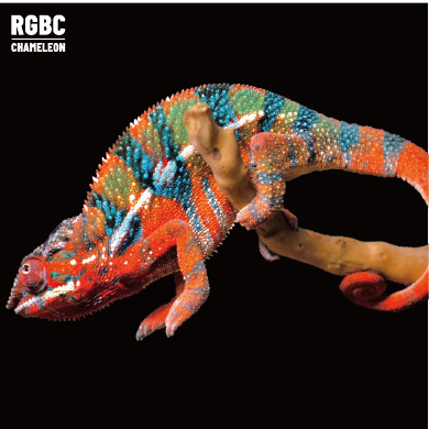 【高雄】 Ambilobe 安比諾貝 ｜amb-f169st