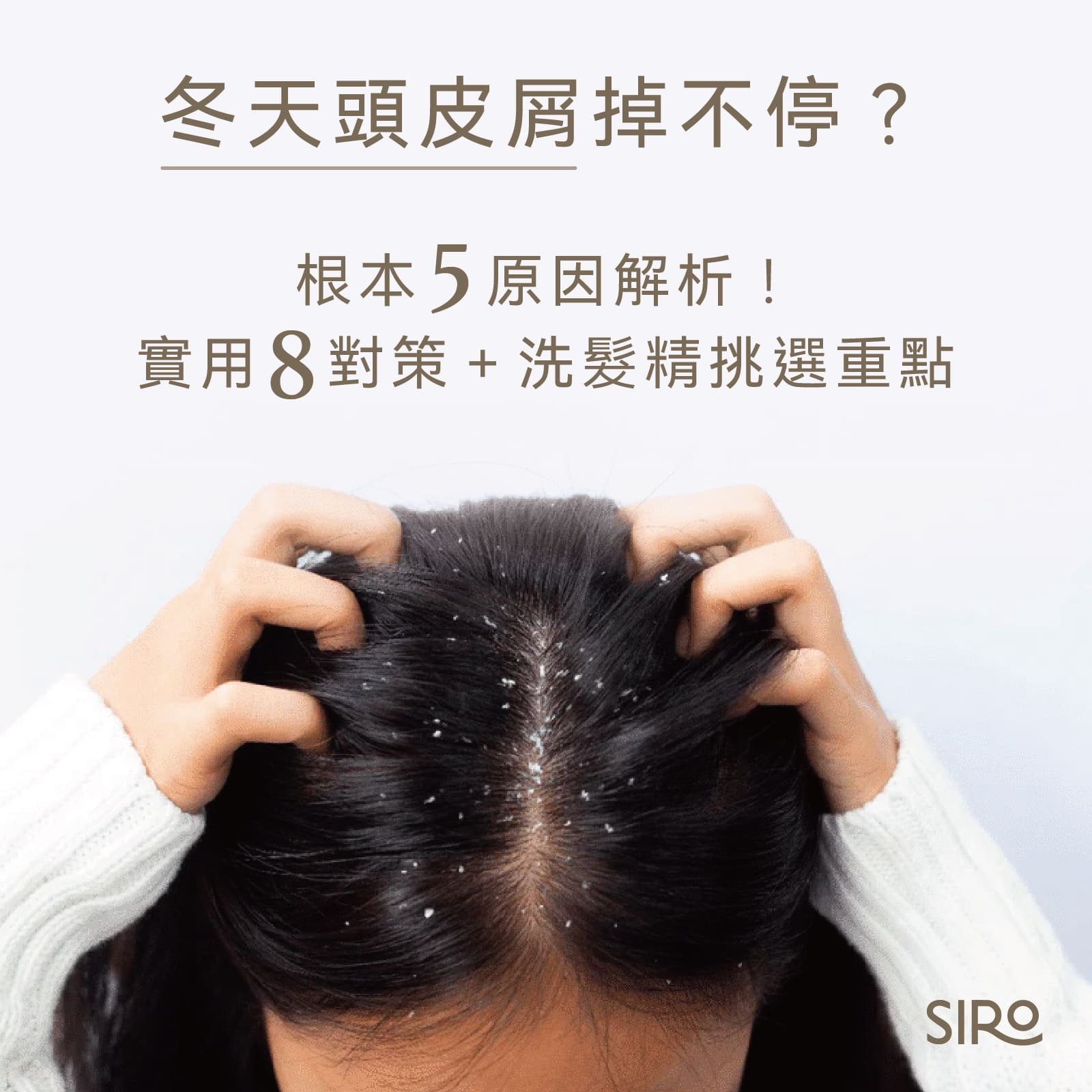 冬天頭皮屑掉不停？根本5原因解析，實用8對策＋洗髮精挑選重點