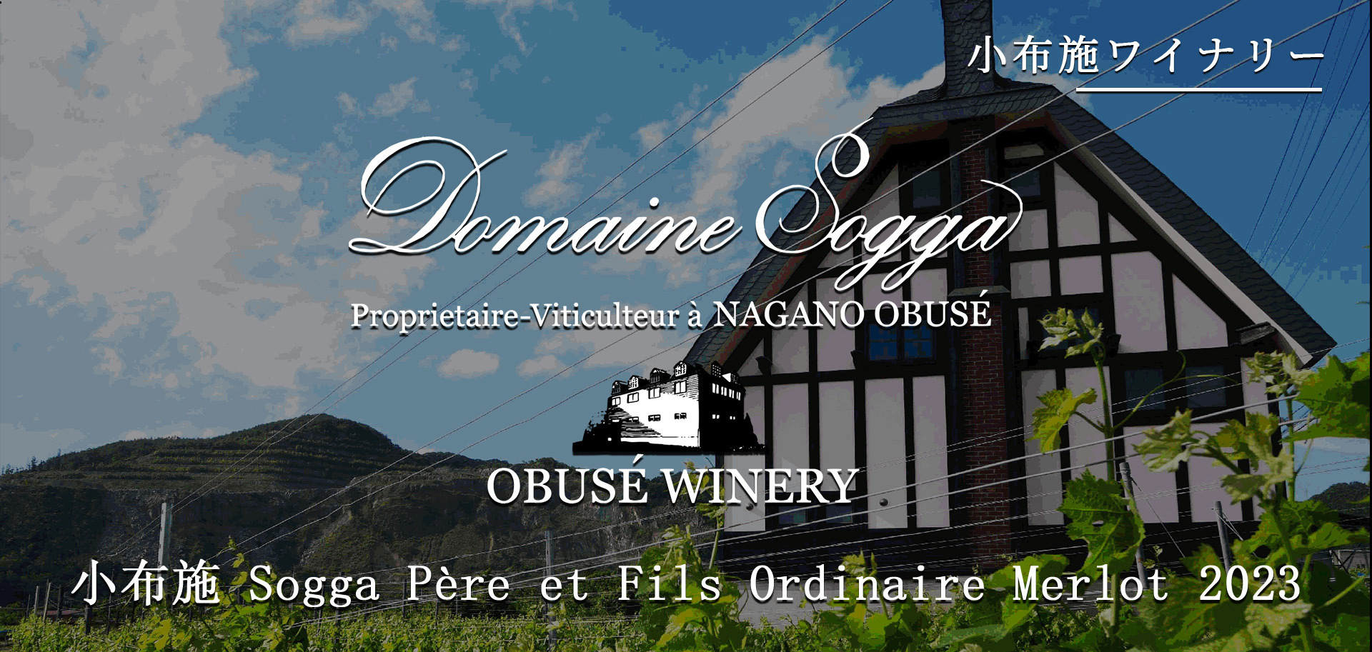 OBUSE WINERY Sogga père et fils 2023 小布施Sogga Père et Fils Ordinaire Merlot 2023