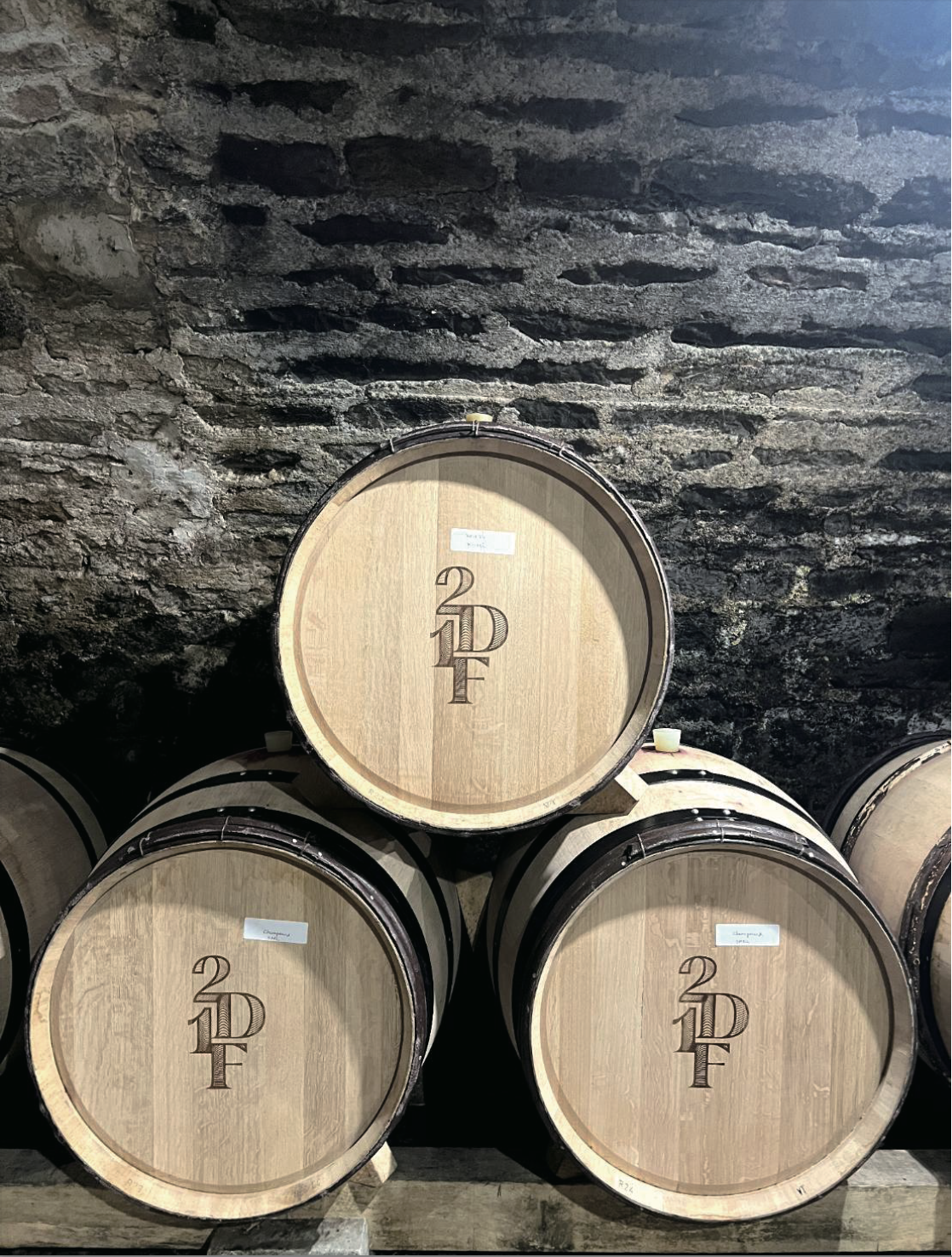 LVS 醇酒慈善拍賣晚宴餐 OCT. 08, 2025