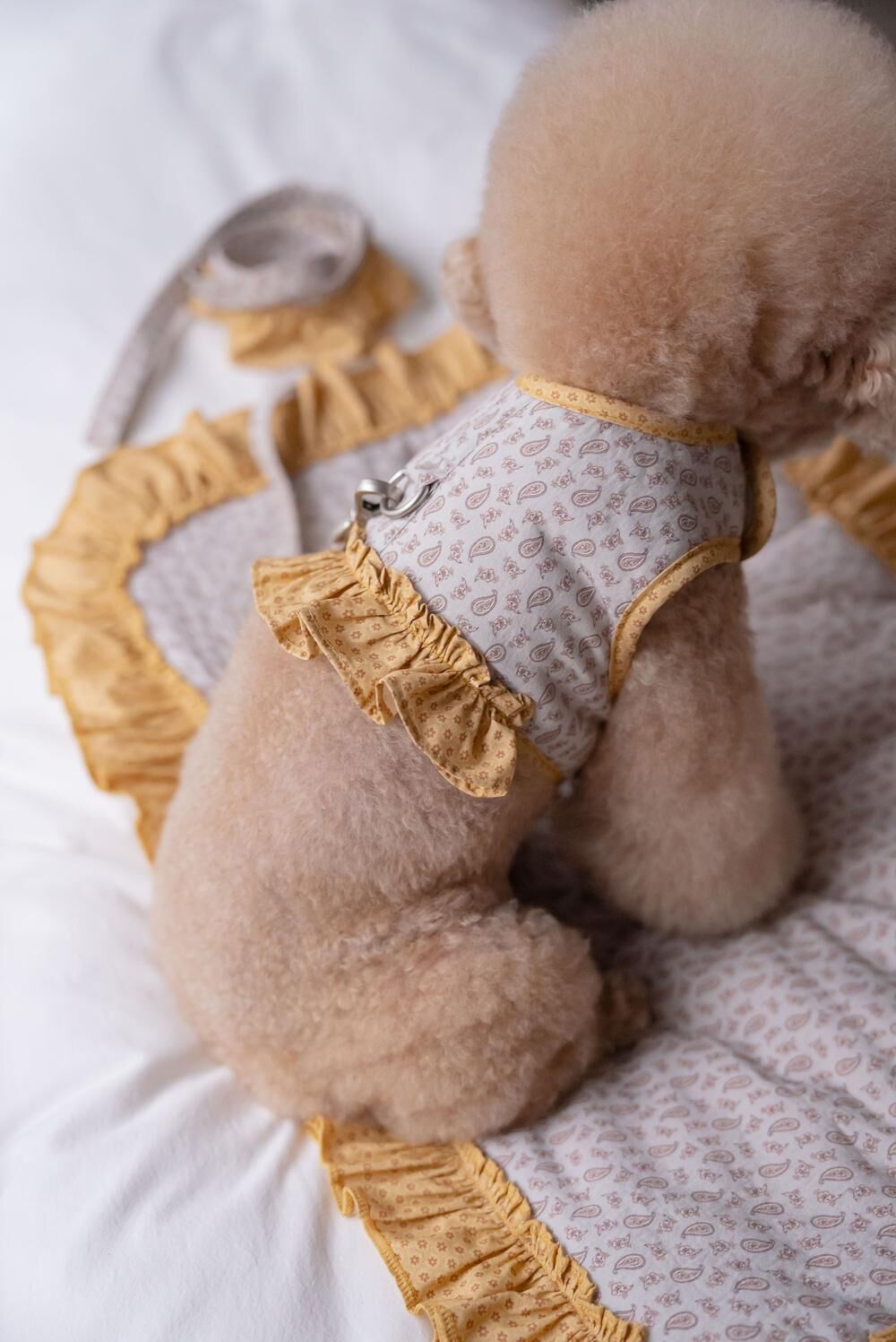 OPAAAP 巴黎漫步胸背系列_芥末黃