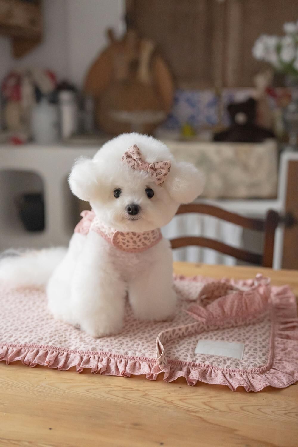 OPAAAP 巴黎漫步胸背系列_乾燥玫瑰粉