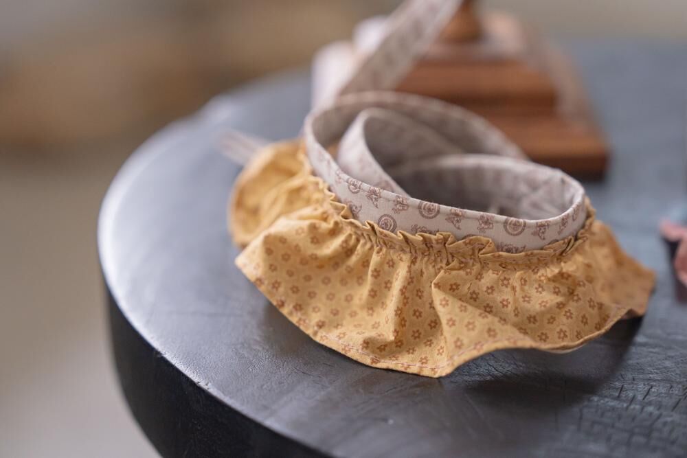 OPAAAP 巴黎漫步牽繩_芥末黃