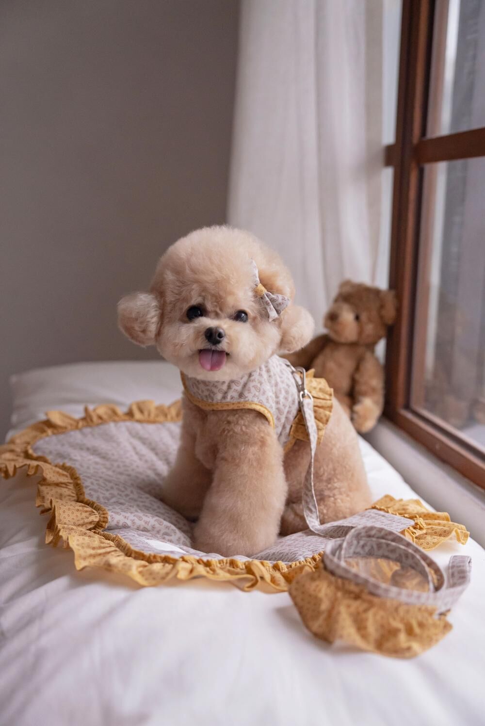 OPAAAP 巴黎漫步牽繩_芥末黃