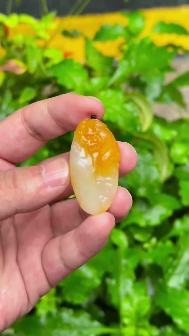 99755 和田玉黃沁獨籽龍