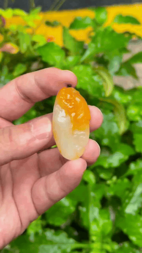 99755 和田玉黃沁獨籽龍