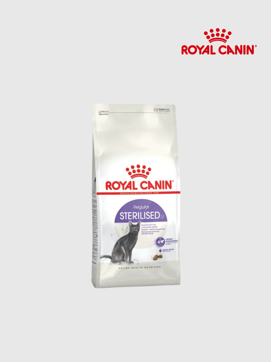 【法國皇家 ROYAL CANIN】S37 絕育成貓專用乾糧｜2kg