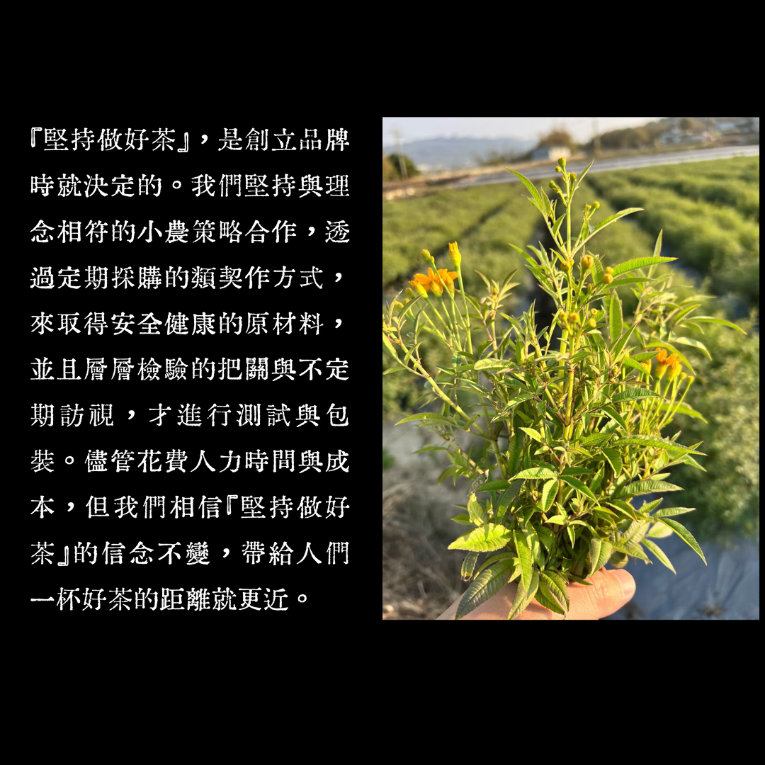 【善茶】紫蘇玫瑰茶