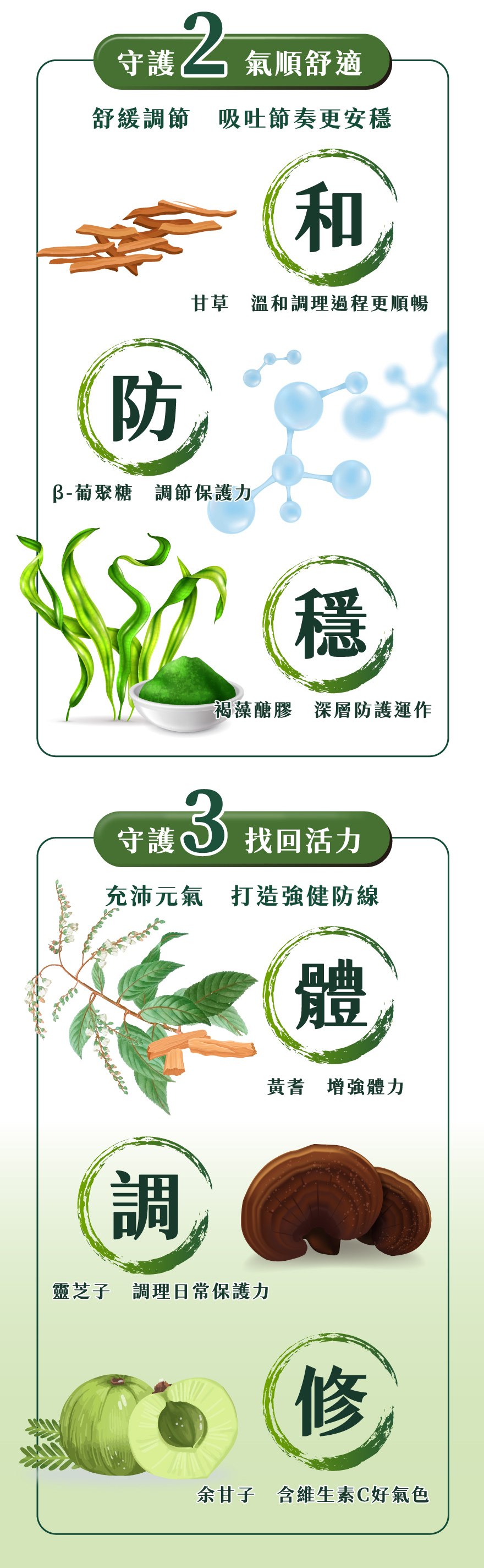 清護11號氣順舒適、找回活力