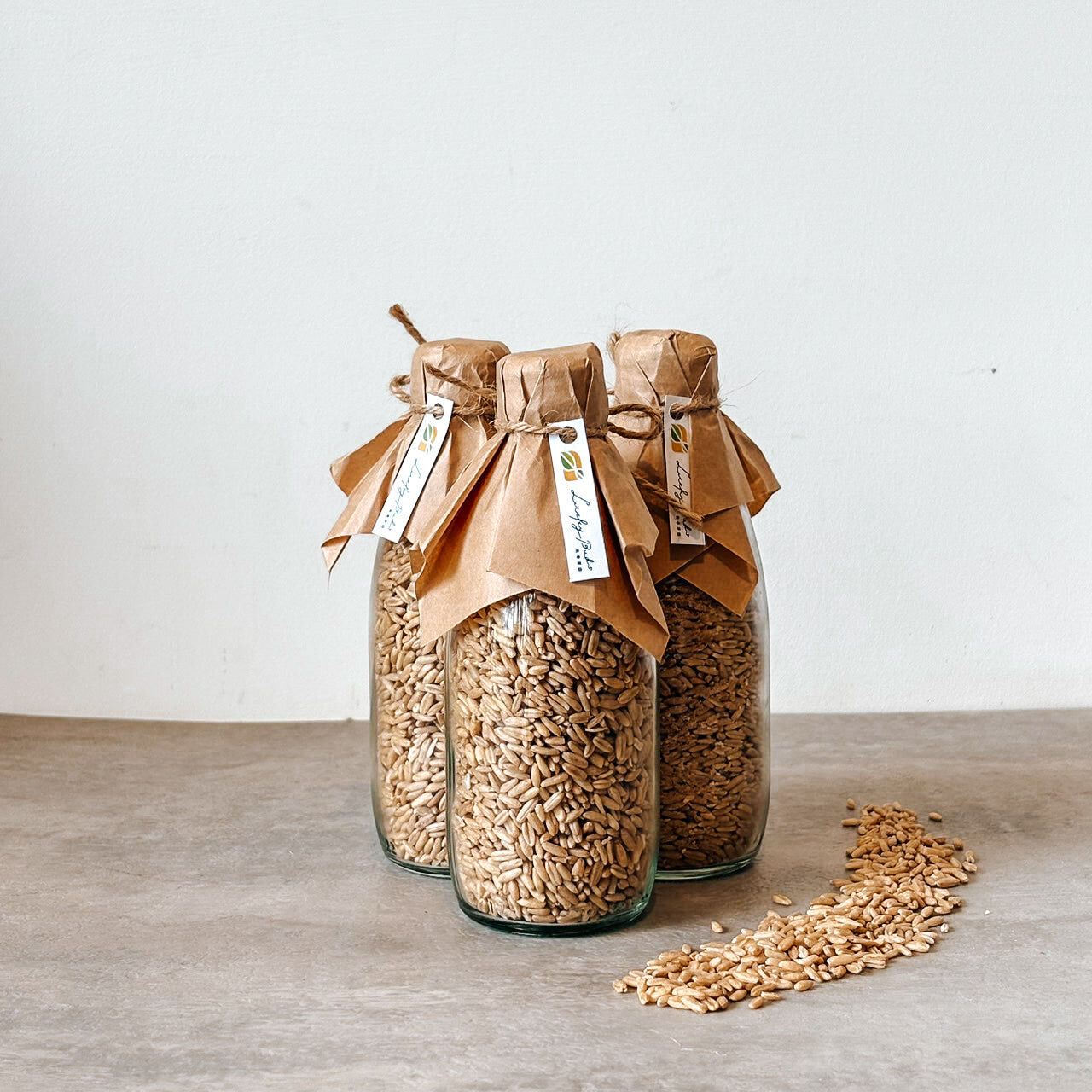 【有幸芽田】穀物雜糧類 - 200g 循環罐裝