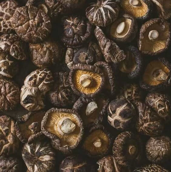 【有幸芽田】乾貨類 30g｜銀耳・黑木耳・乾香菇