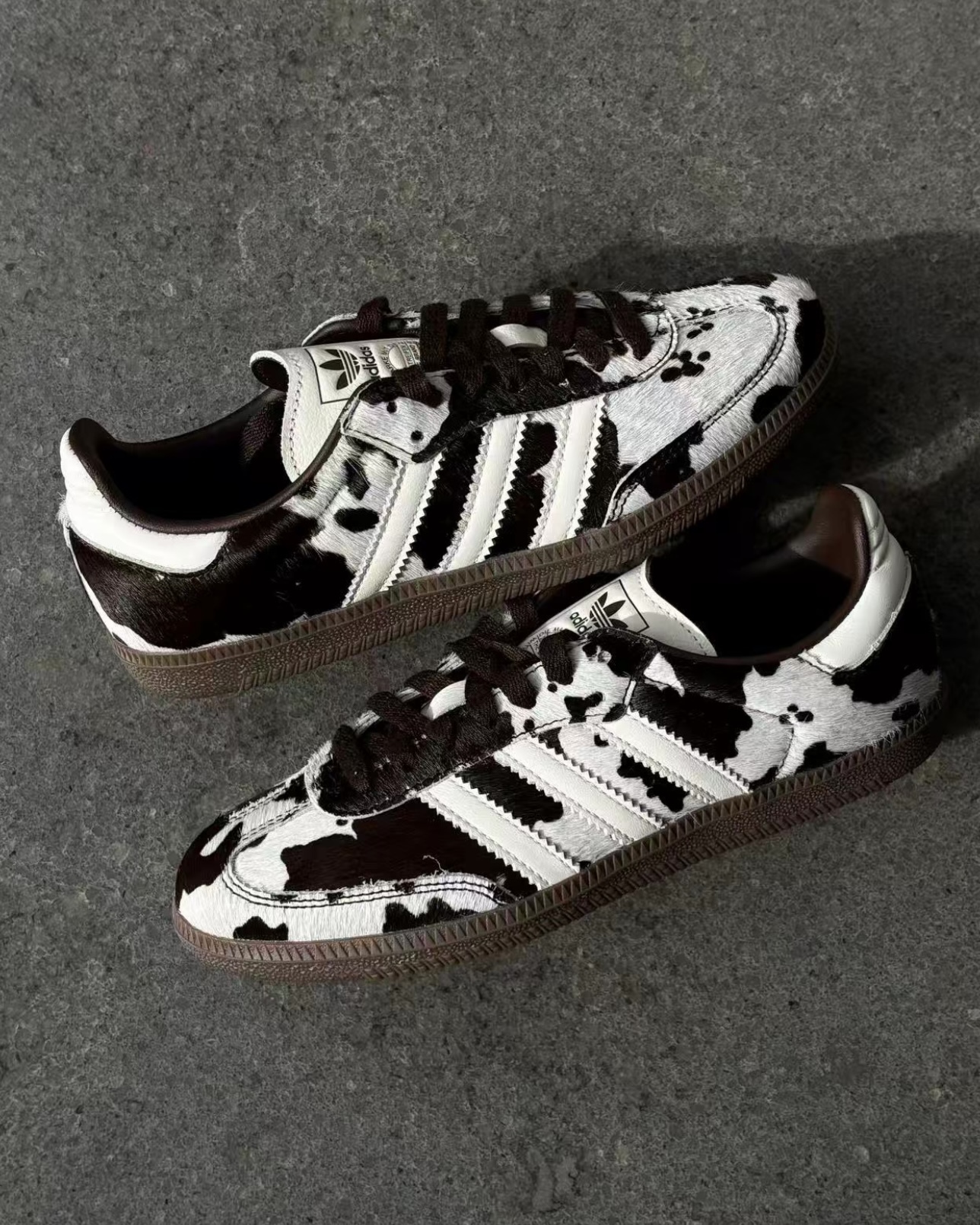 【Focus Store】預購 Adidas Originals Samba OG Wmns "Cow Print Brownk" 乳牛紋 棕色 KK2238